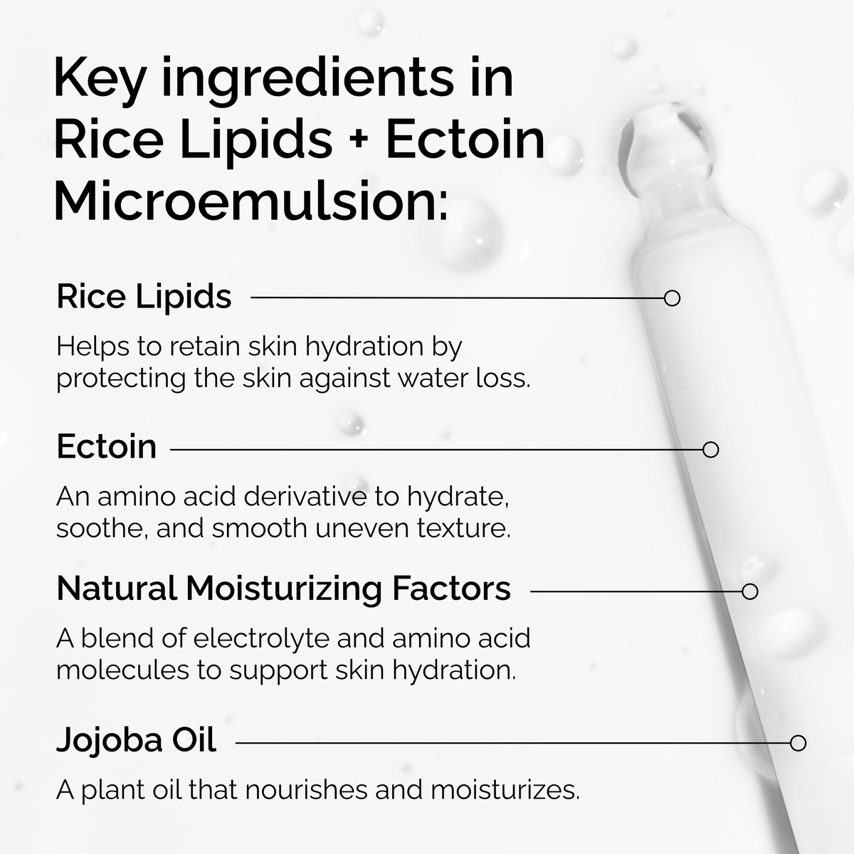 rice-lipids-ectoin-microemulsion-e3 ord-rice-lipids-ectoin-microemulsion-key-ingredients.png